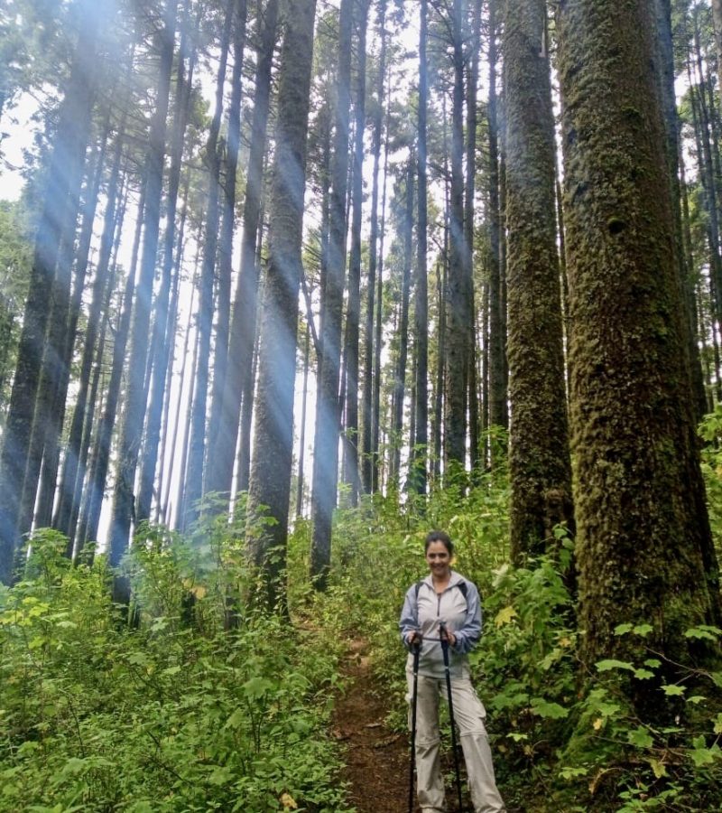 3f8fd8fa-a72c-44d0-b1f2-195939e925dc